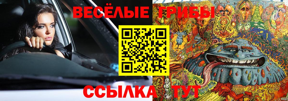 Нальчик  Псилоцибиновые грибы мухоморы  Псилоцибиновые грибы мухоморы  Вход с VPN 