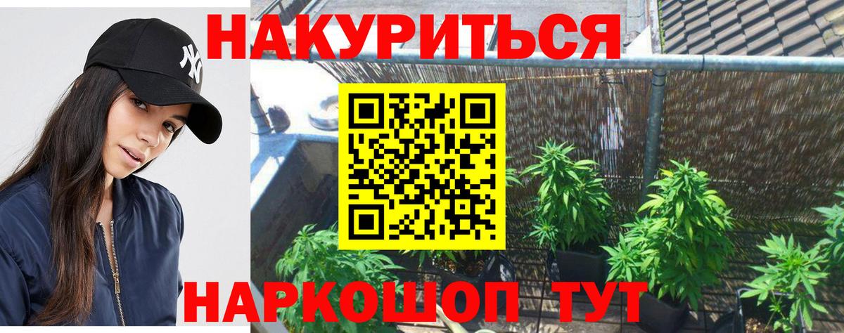 МАРИХУАНА Ganja Нальчик